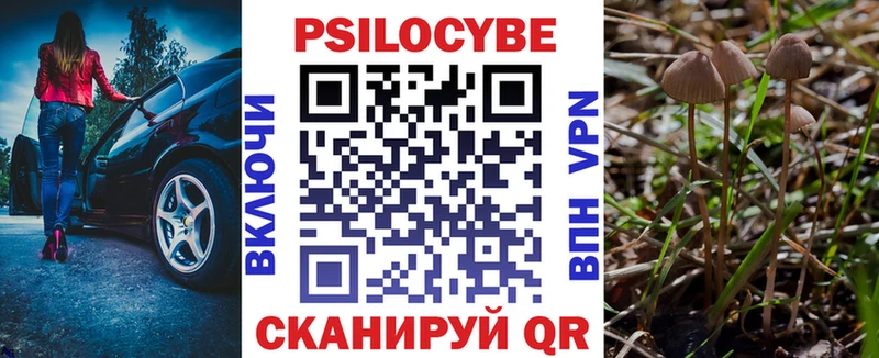 Псилоцибиновые грибы MAGIC MUSHROOMS  где купить наркоту  кракен tor  Дзержинск 